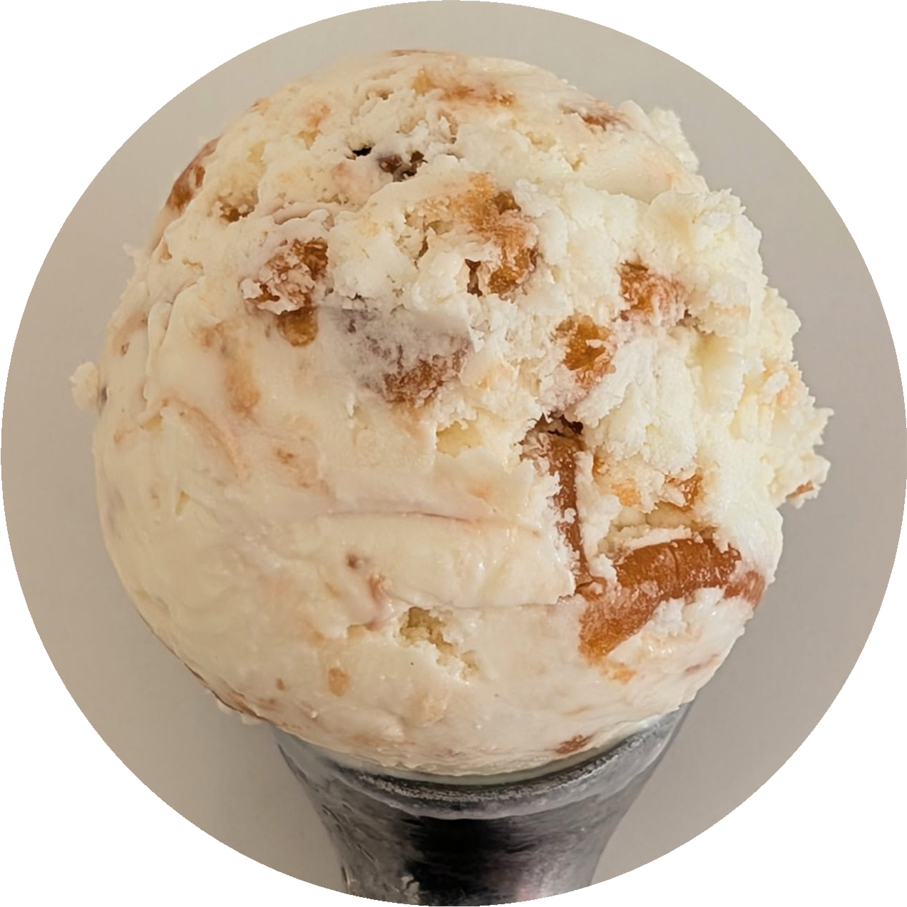 Toasted Coconut Dulce