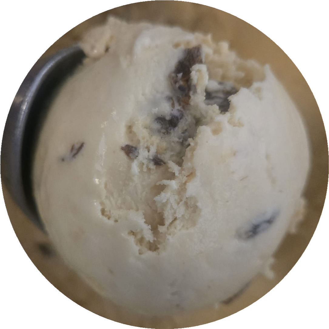 Rum Raisin